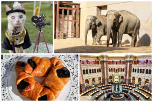 Our Favorite Washingtonian Stories of 2022 (That You Might Have Missed)