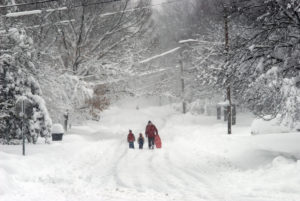 Stay Active With These Winter Walks Around DC