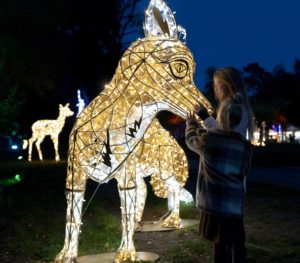 The Reston Zoo Will Reopen Its Drive-Through Safari Under New Ownership