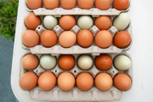 There’s an Answer to the Egg Crisis: Your Local Farmers Market