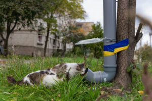 This Former DC CEO Is Now Saving Pets in Ukraine