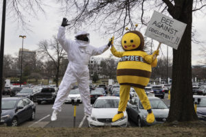 What’s It Like to Be Nimbee?