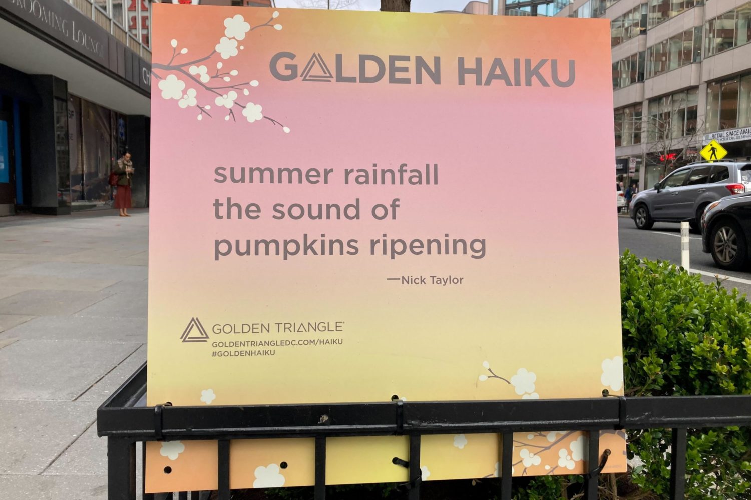 Haiku Golden Triangle