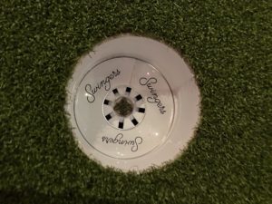 Should You Try Swingers in Navy Yard? Take Our Quiz.