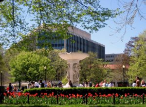 Today Might Be the Nicest Day of 2023. Here Are 3 Things to Do Outside.