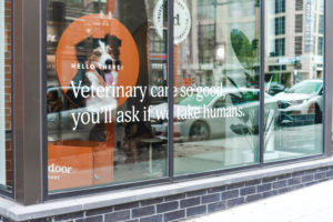 Veterinarians Face a Mental Health Crisis. Can New Membership Clinics Help?