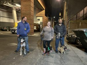 These Rat-Hunting Dogs Spend Saturday Nights Prowling Adams Morgan