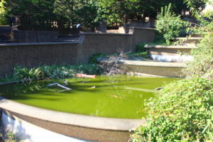 Should DC Take Control of Federal Parkland in the City?