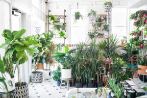 The Best Deals and Top Events for DC Plant Week