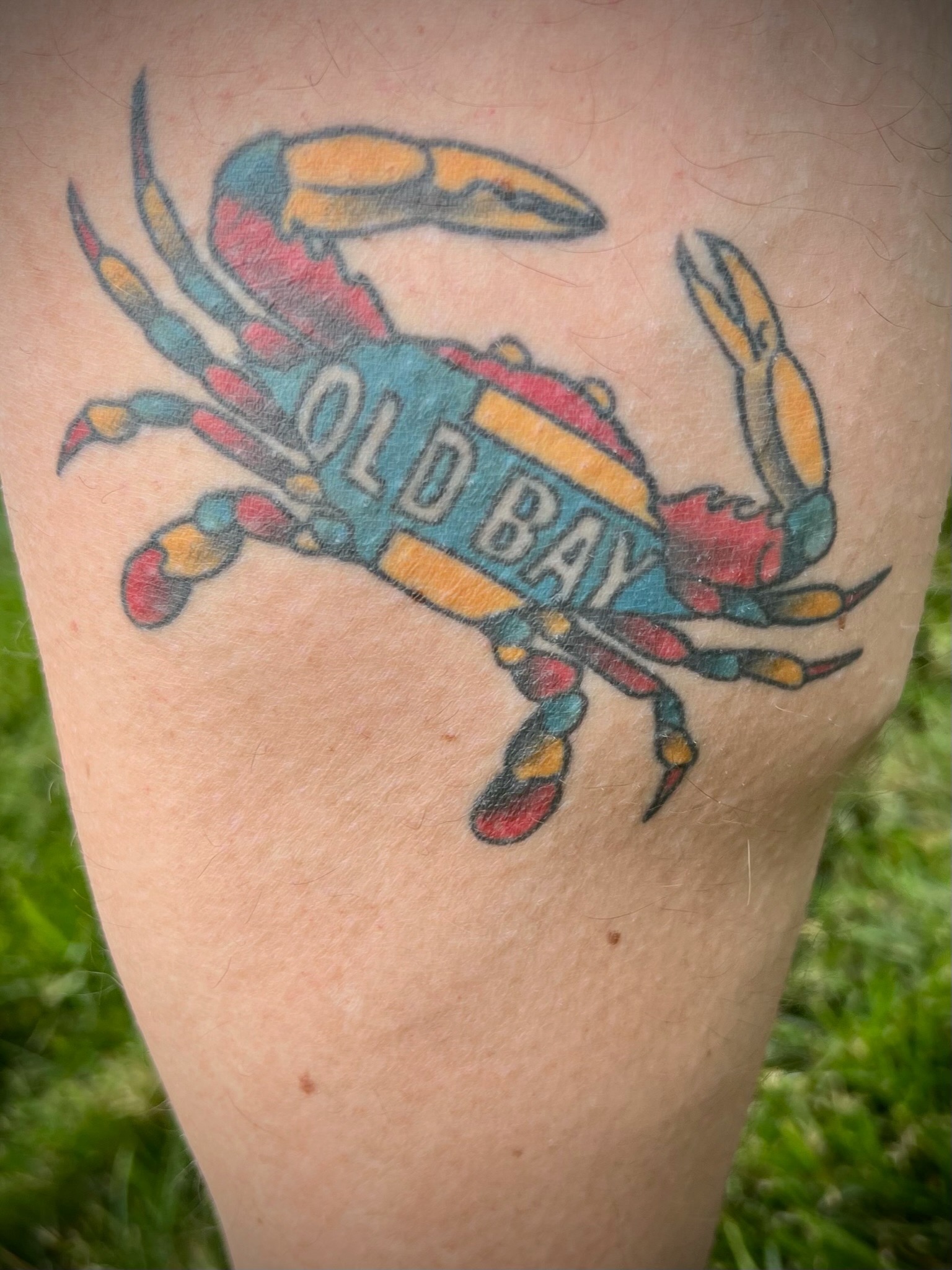 preakness-2023-24 preakness-2023-24