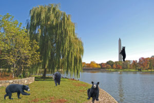 What’s With All the Bears Around DC Lately?