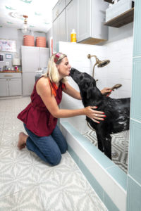 Dog Parents Are Embracing “Barkitecture” and Creating Beautiful, Custom Pet Spaces