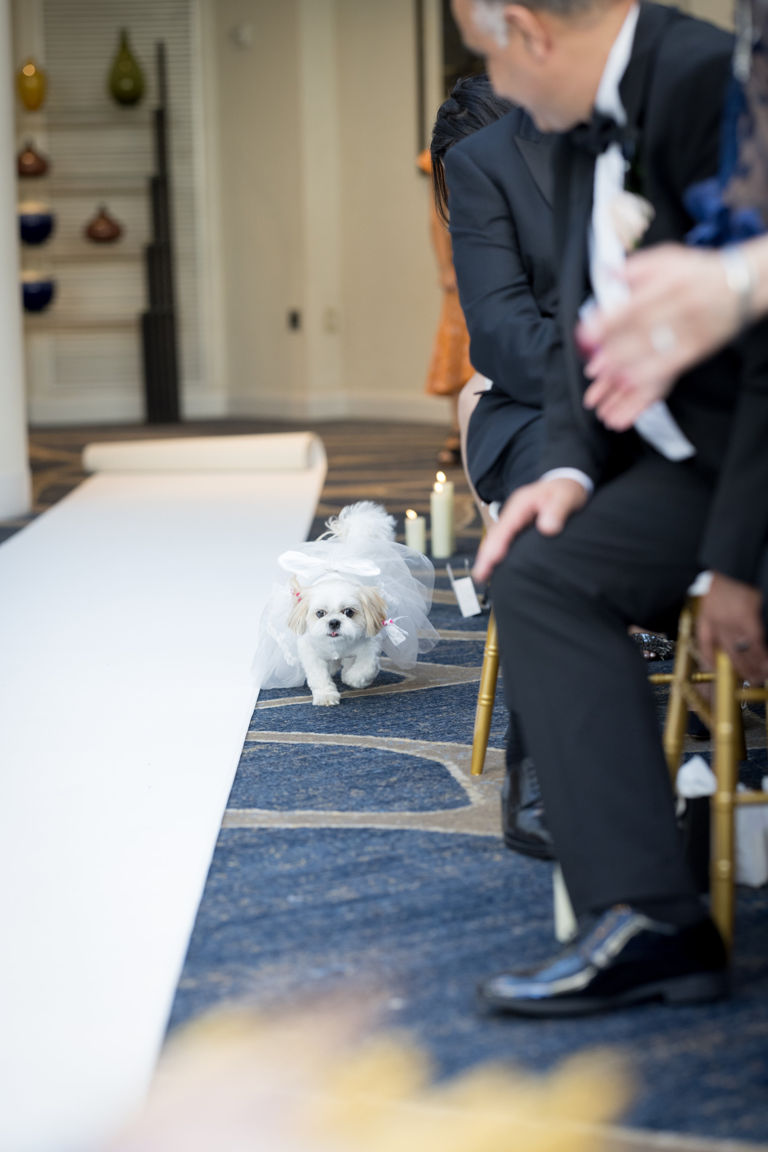 93 - Gouzal and Arvin Favorites - Akbar Sayed Photography