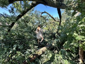 Watch: Footage From the Storms That Ripped Through DC Saturday
