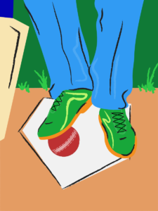 Cricket Is Booming in Suburban Virginia. Can a Rural Town Make Room for the Sport?