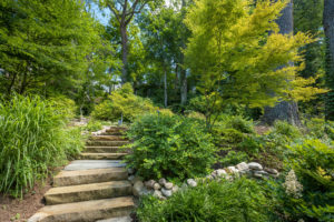 People Are Forgoing Classic Grass Lawns for Eco-Friendly, Native-Plant-Filled Gardens