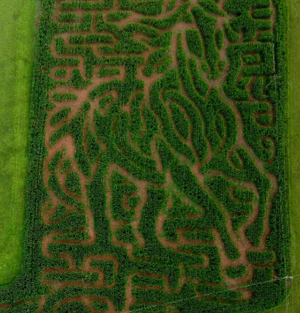 The "Wild and Free" horse-themed maze at Blue Ridge Mountain Maze. Photo by Kate Knott.