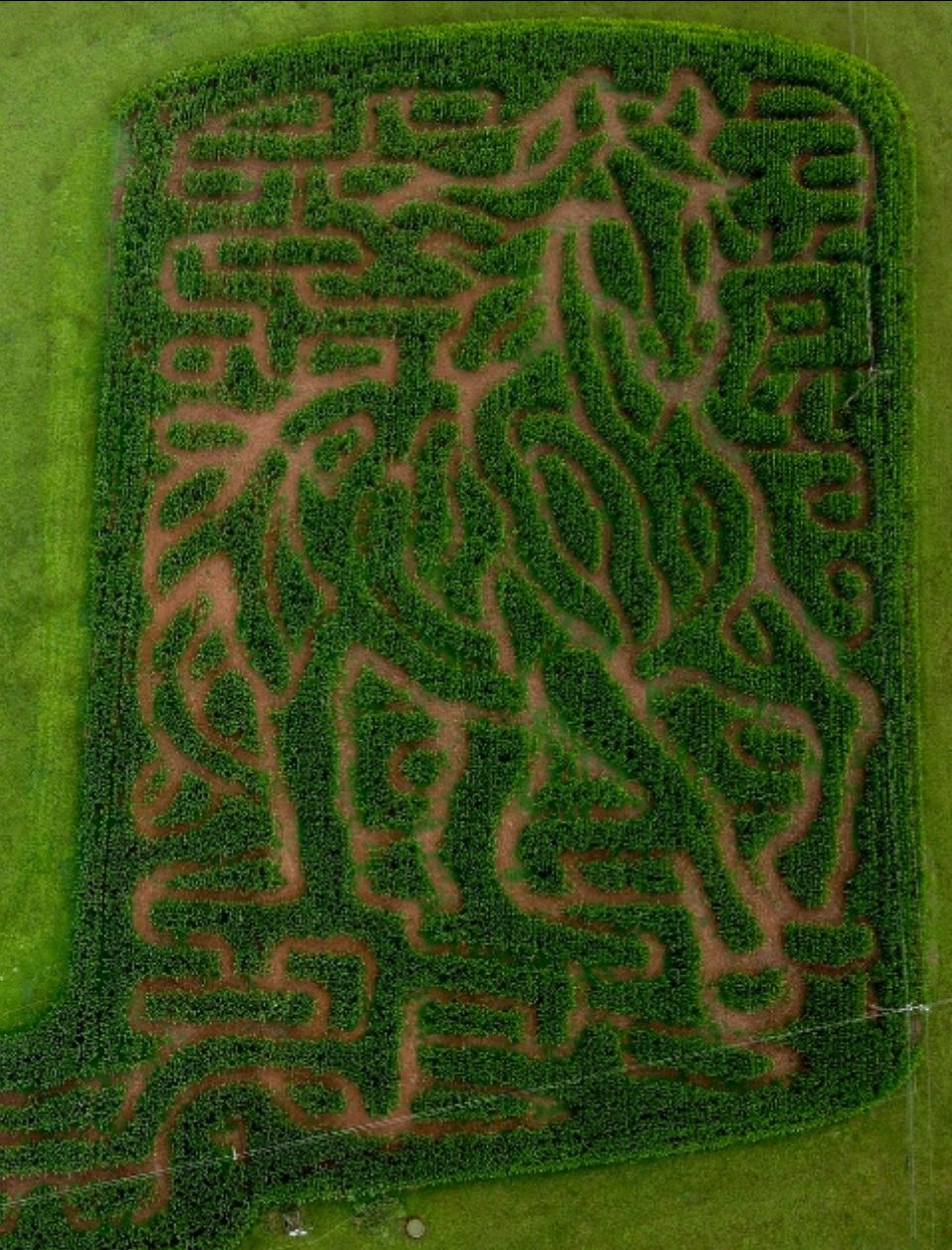 The "Wild and Free" horse-themed maze at Blue Ridge Mountain Maze. Photo by Kate Knott.