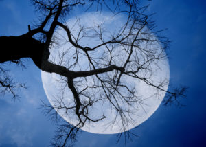 Don’t Miss Thursday’s Harvest Moon—the Last Supermoon of 2023