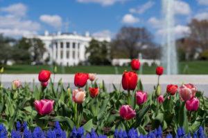 How to Get Tickets for the White House Fall Garden Tours