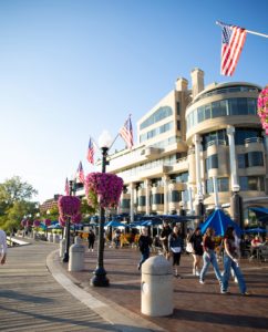 Neighborhood Guide: 20 Things to Do in Georgetown