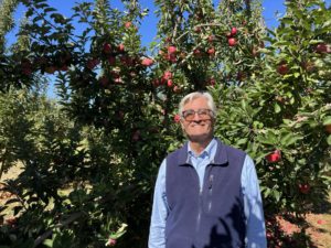 Could These New Maryland Apples Save Orchards From Climate Change?