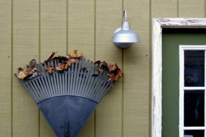 Why You Shouldn’t Rake Your Yard, According to This UMD Entomologist