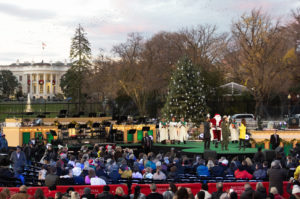 What to Know About the National Christmas Tree Lighting