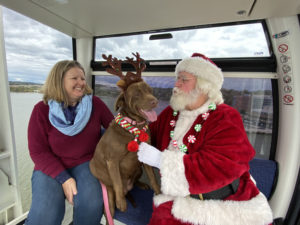 Want a Pic of Your Pet With Santa? Here’s Where to Go Around DC.