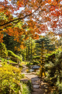 Can We Find Real Self-Care in the World of Wellness?