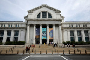 Why the Washington Post Is Still Reporting on the Smithsonian’s Racial Brain Collection