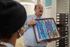 When Bug Scientists Visit the Smithsonian, It Can Get a Bit Gross