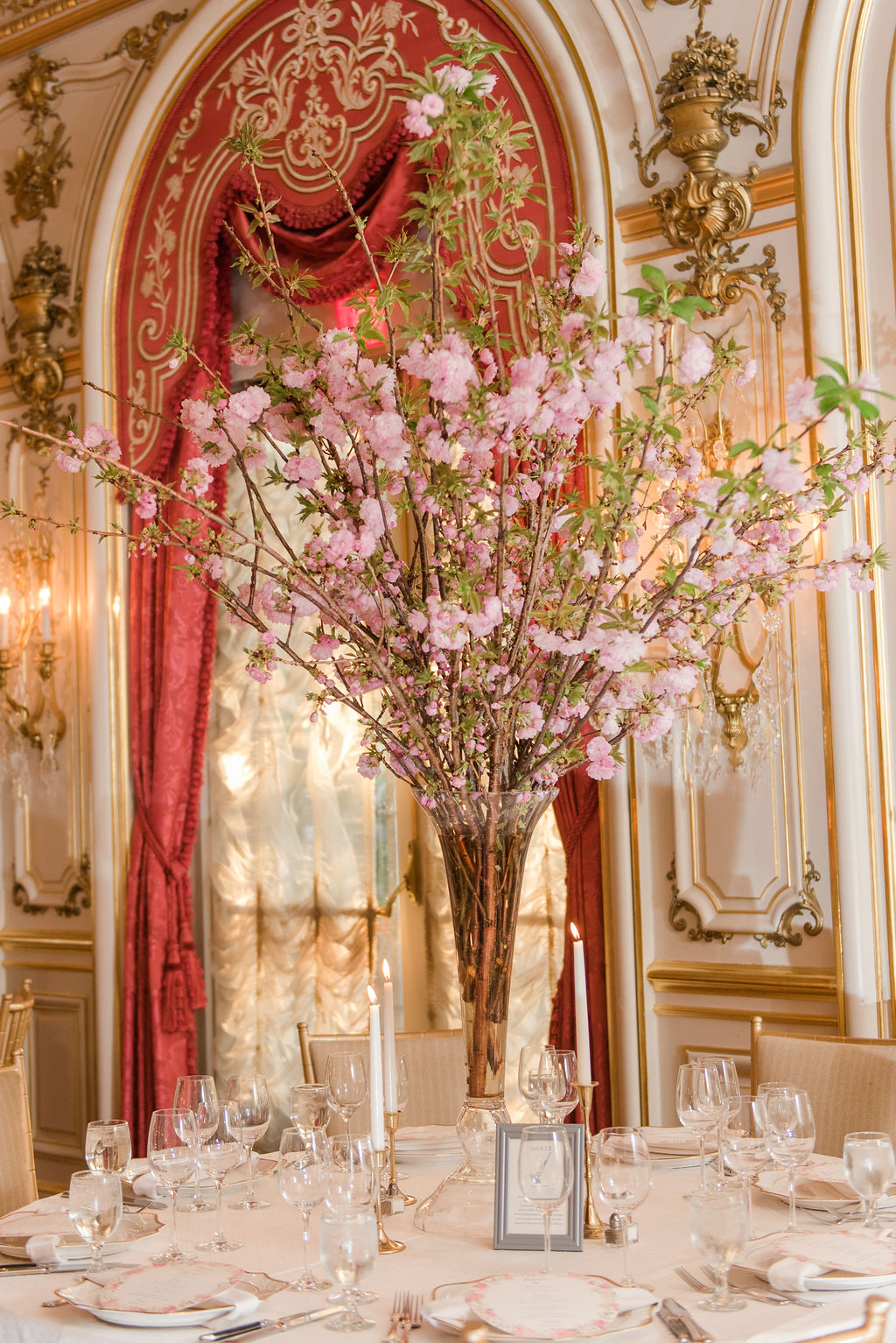 emily-alyssa-photography-cosmos-club-submission72 emily-alyssa-photography-cosmos-club-submission72