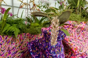 The Smithsonian’s Orchid Exhibition Returns This Weekend