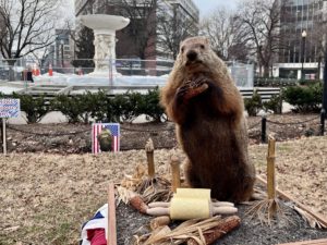 DC’s Stuffed Groundhog Predicts an Early Spring