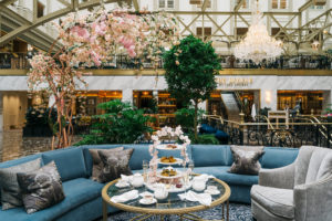 Bloom in Comfort: DC Cherry Blossom Hotel Packages This Spring