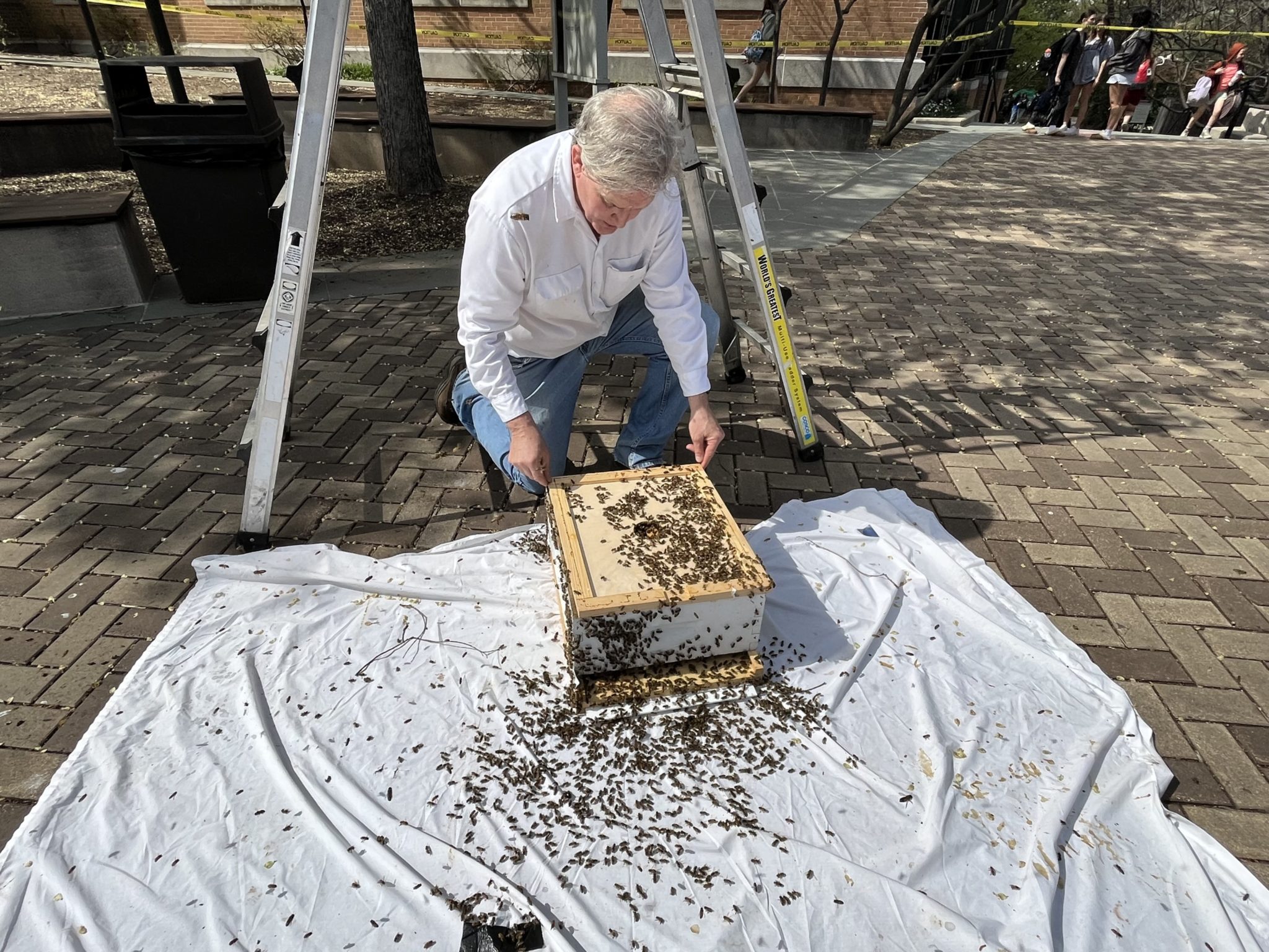 Sean Kennedy of the DC Beekeepers Alliance.
