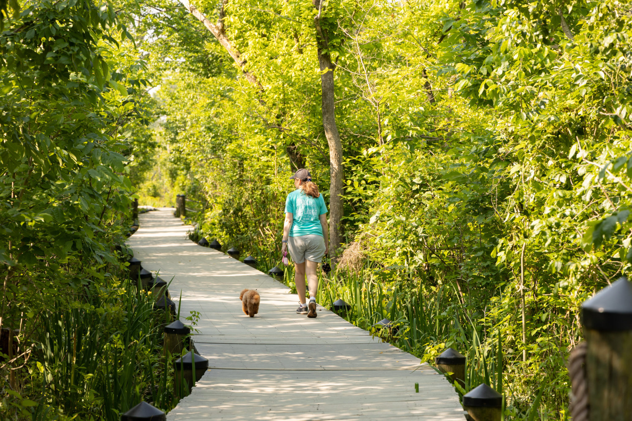 Here Are 7 Best Parks For Cycling, Reading, Picnics, and More