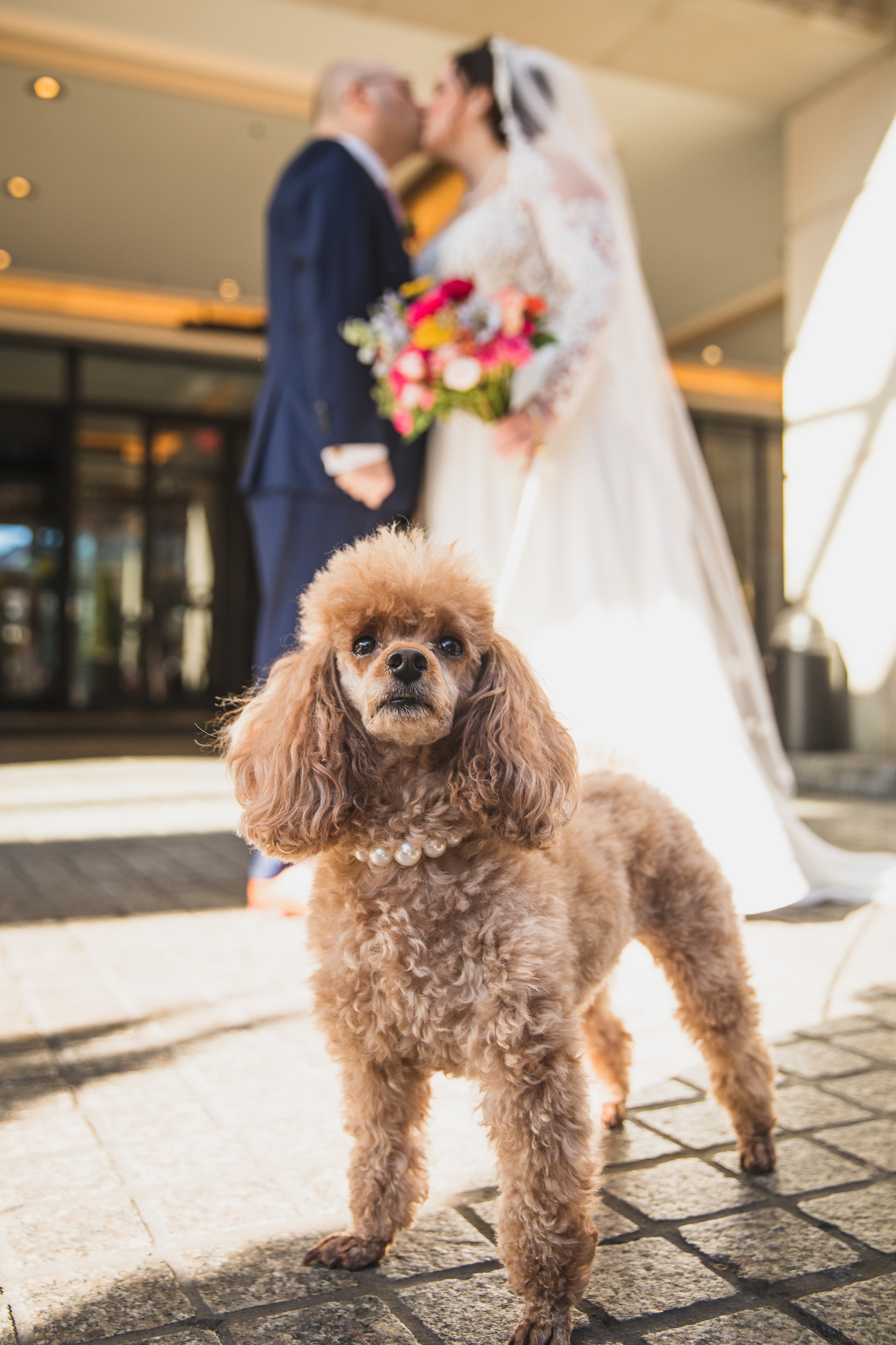 Leslie + Leor married // Fairmont Washington Hotel