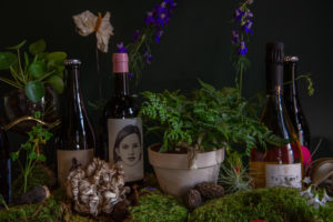 A Natural Wine and Plant Shop Is Coming to Cleveland Park