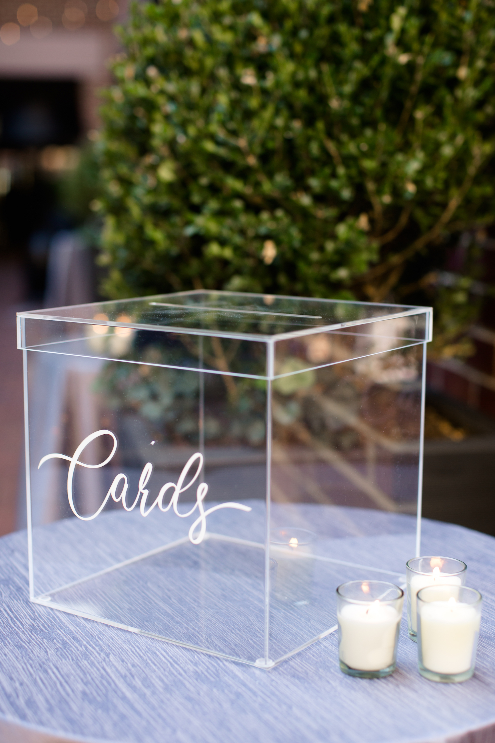 LeezaBret-716 LeezaBret-716