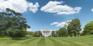 How to Get Tickets for the White House Spring Garden Tours