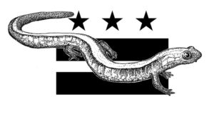 Meet the Kids Behind the Movement to Designate an Official DC Amphibian