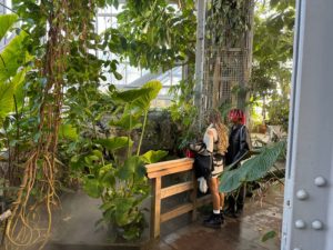 The US Botanic Garden Is Joining This Summer’s After-Hours Trend