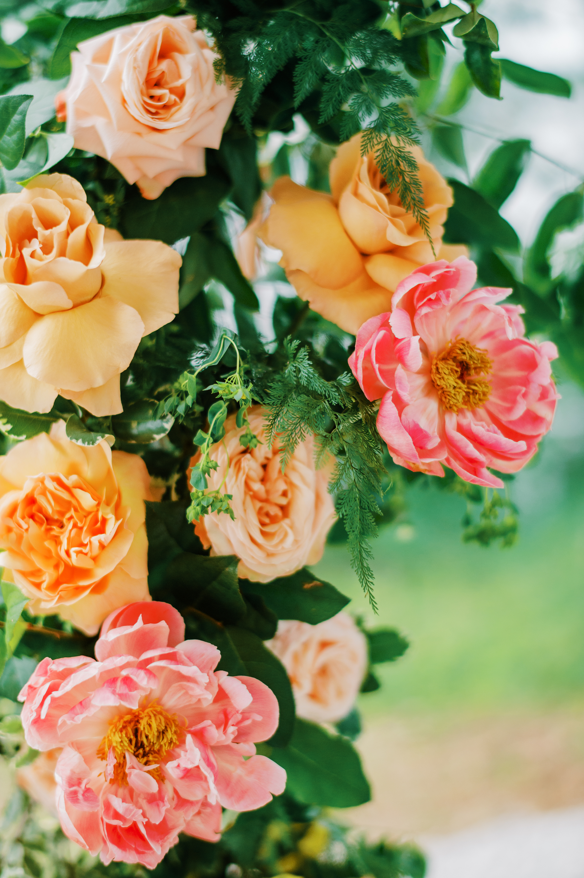 Scott-Elise-Wedding-photo-109 Scott-Elise-Wedding-photo-109