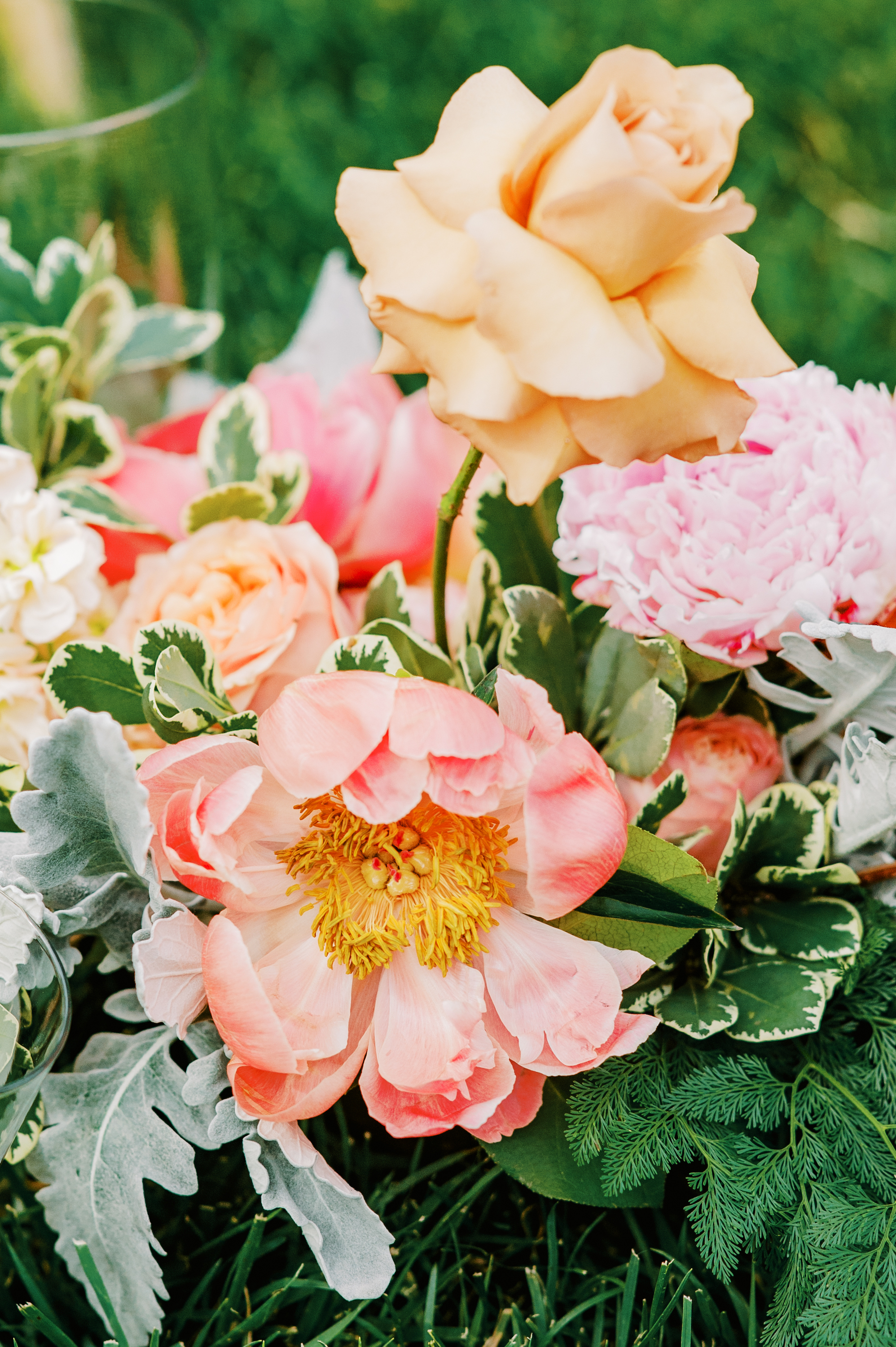 Scott-Elise-Wedding-photo-126 Scott-Elise-Wedding-photo-126