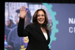 A Gen-Zer’s Guide to Kamala Harris Memes