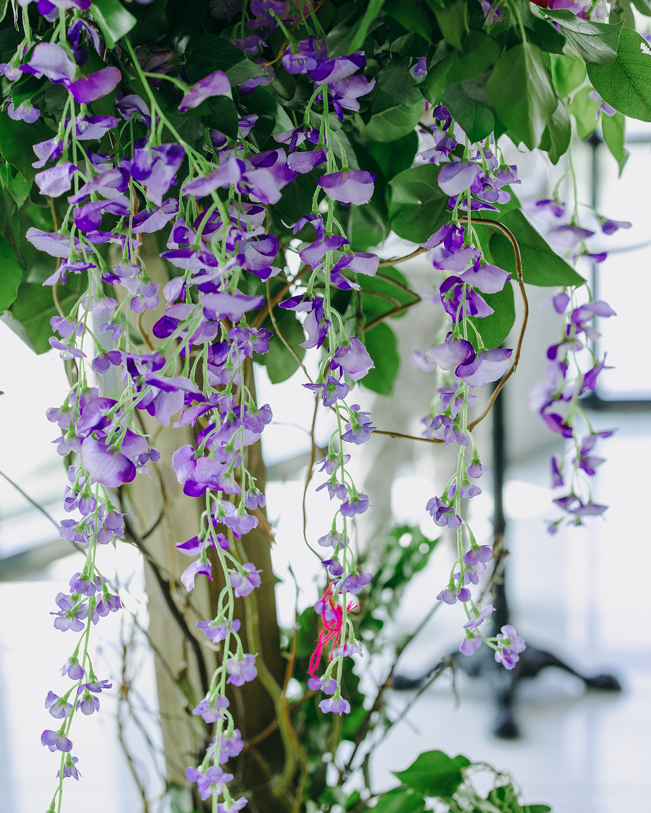 Jade and Aric's Vendor Gallery Jade and Aric's Vendor Gallery