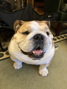 Not to Brag, but I Personally Know Babydog