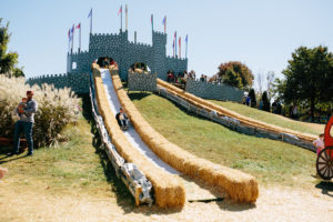 Make Memories at These 16 Community Festivals in the DC Area